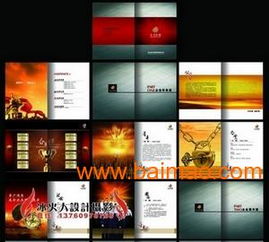 VIS品牌策劃與設(shè)計(jì)服務(wù) 從標(biāo)志到畫冊、包裝的全面解決方案